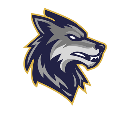 Little Elm High School Football
