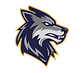 Little Elm High School Football